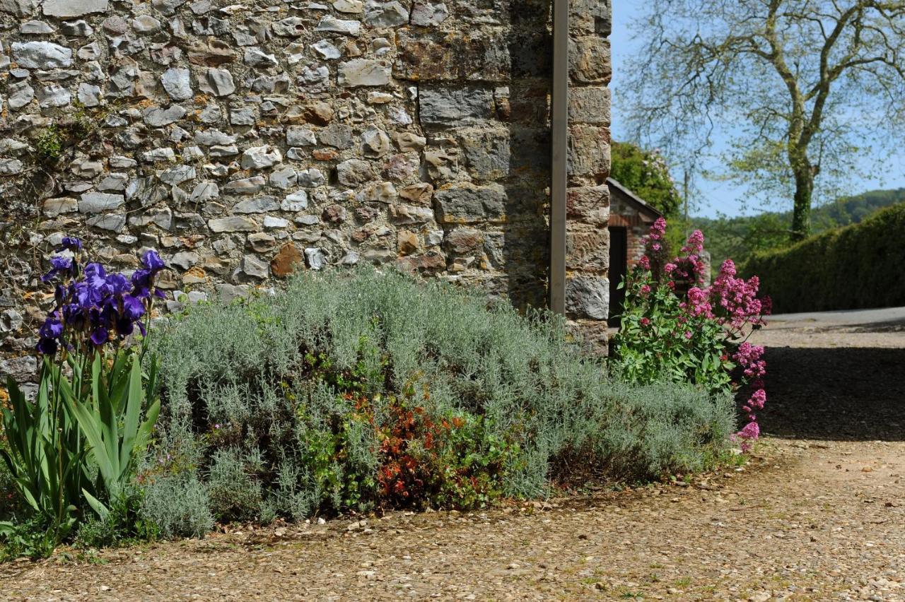Trill Cottage Musbury Exteriör bild