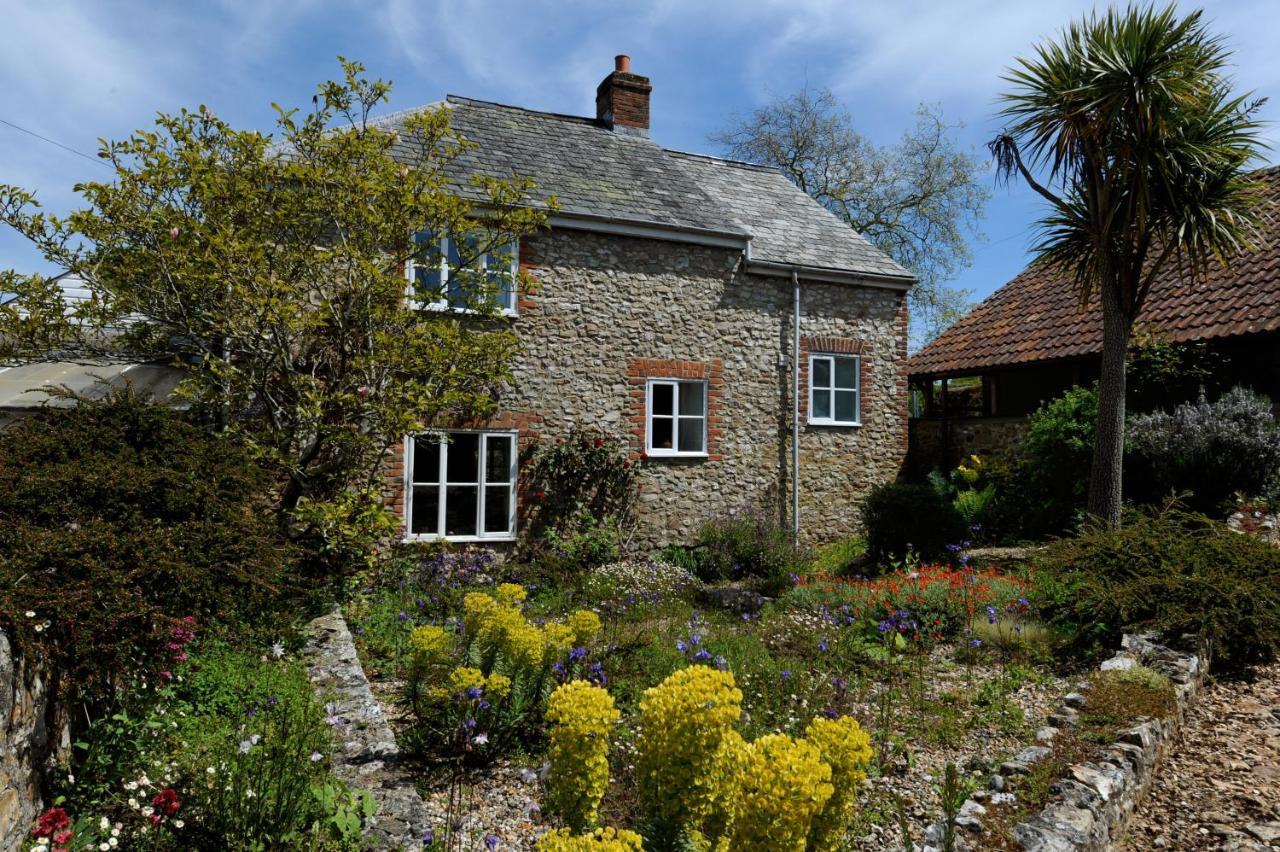 Trill Cottage Musbury Exteriör bild